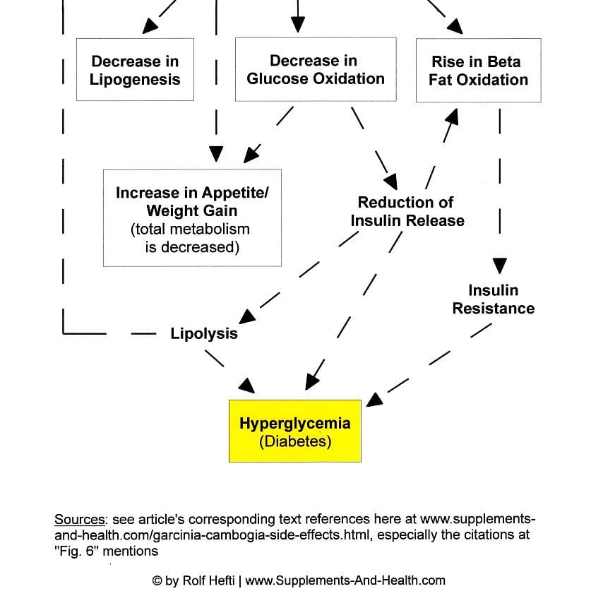 Figure 6b: Garcinia Side Effects - Boosting Diabetes Via Malonyl-CoA Interference