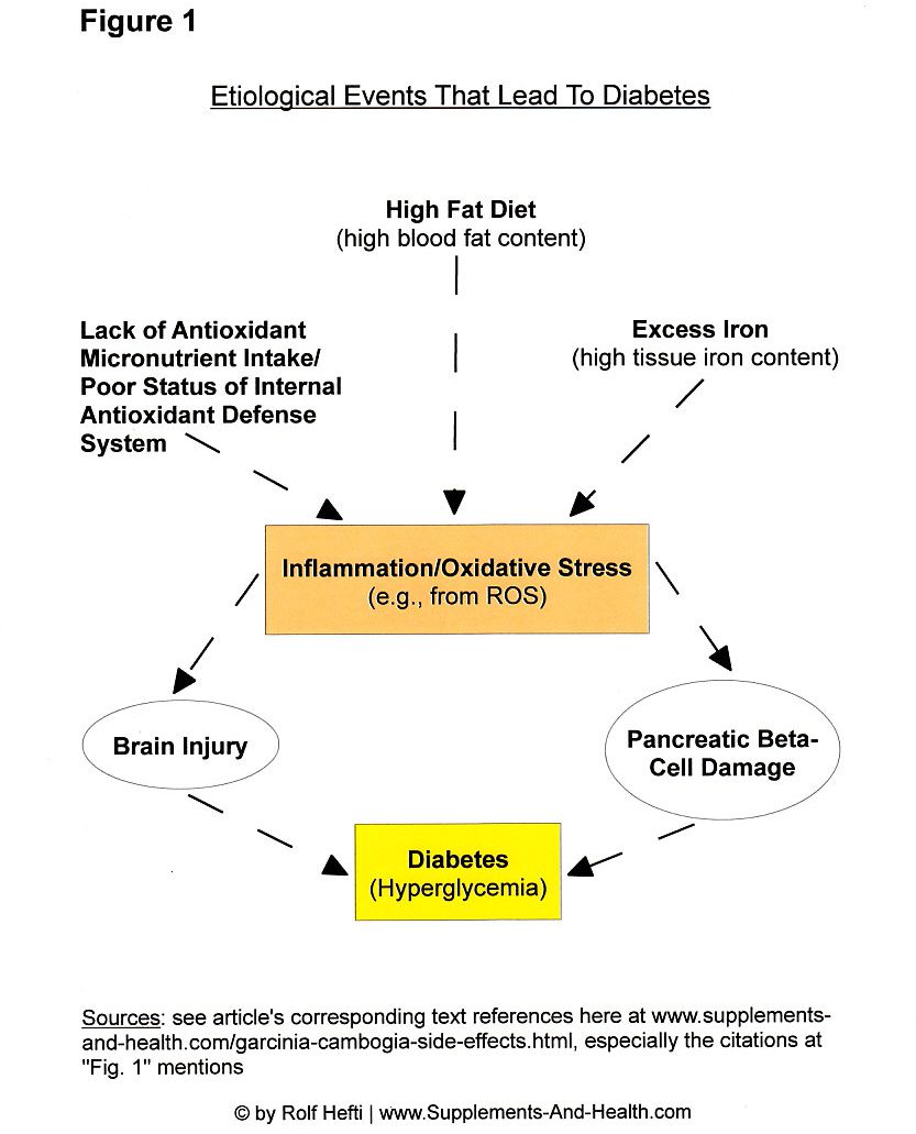 Figure 1: What Causes Diabetes?