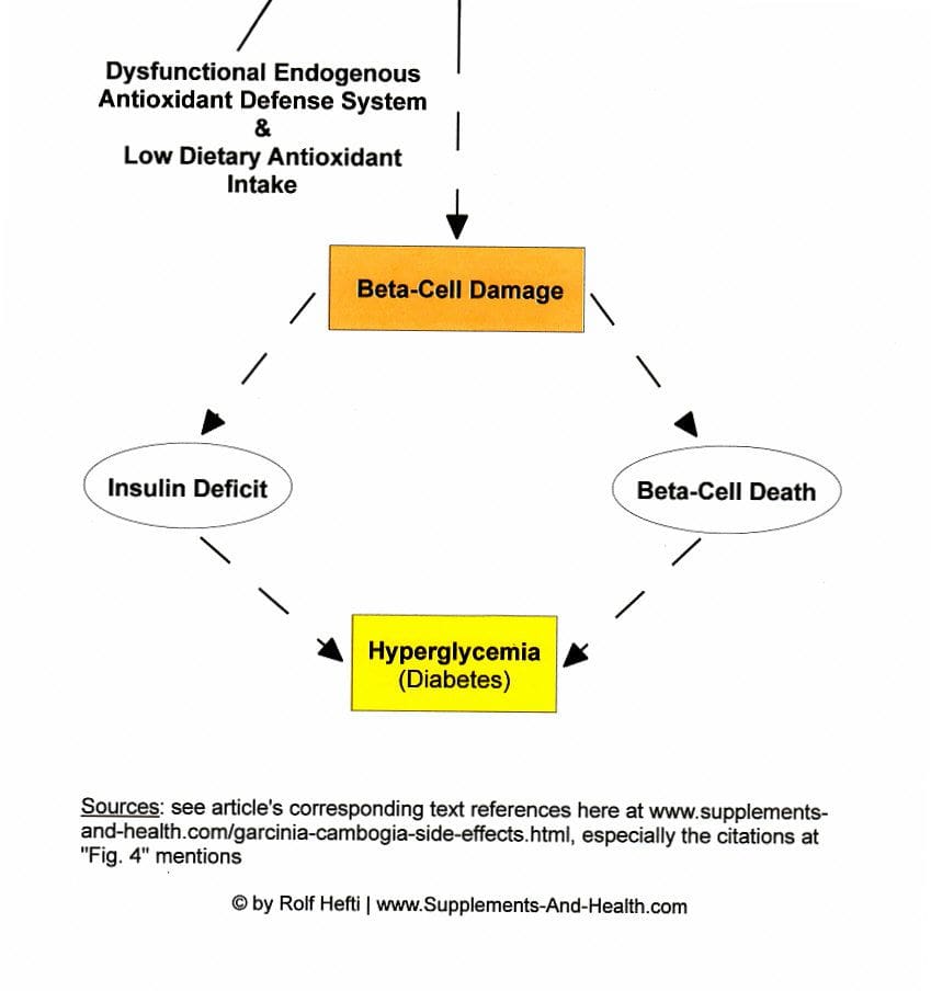 Figure 4b: Cholesterol Lowering Garcinia Extract-Diabetes Path