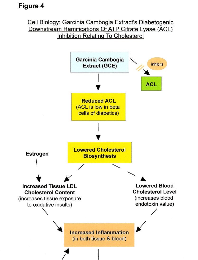 Figure 4a: Cholesterol Lowering Garcinia Extract-Diabetes Path