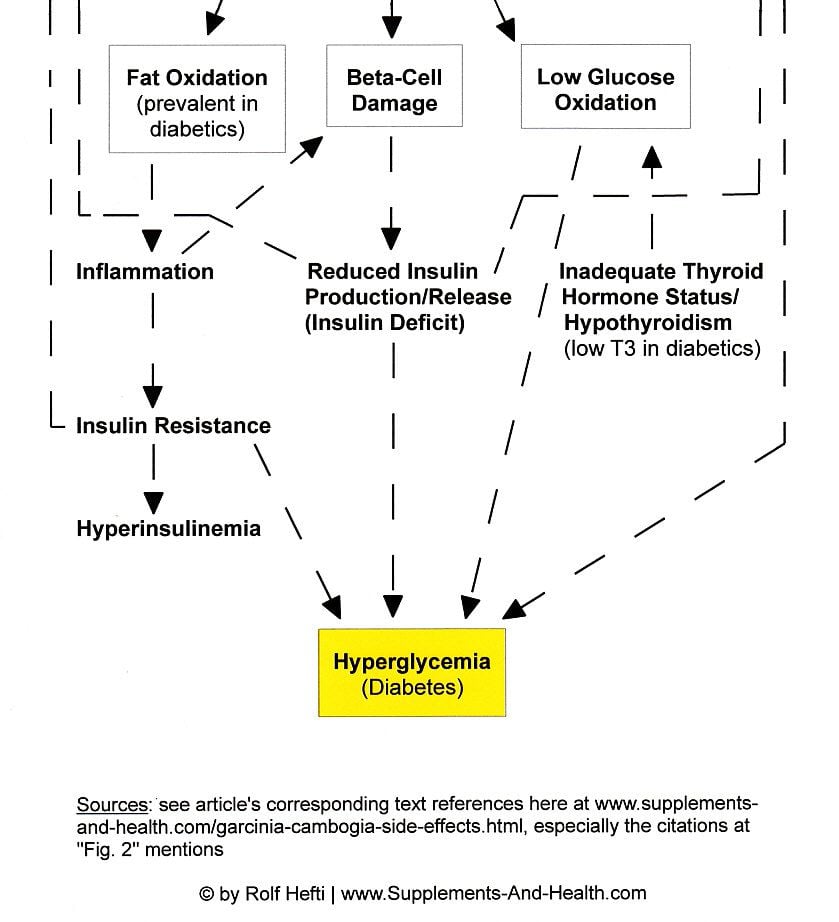 Figure 2b: Negative Effects Of Garcinia Cambogia Extract - Raised Diabetes Risk