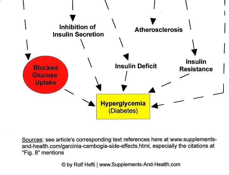 Figure 8b: Statins & Garcinia Cambogia Adverse Effects - Diabetes