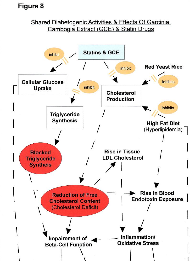 Figure 8a: Statins & Garcinia Cambogia Adverse Effects - Diabetes